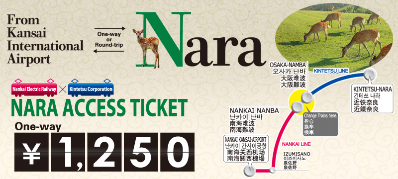 Nara Access Ticket